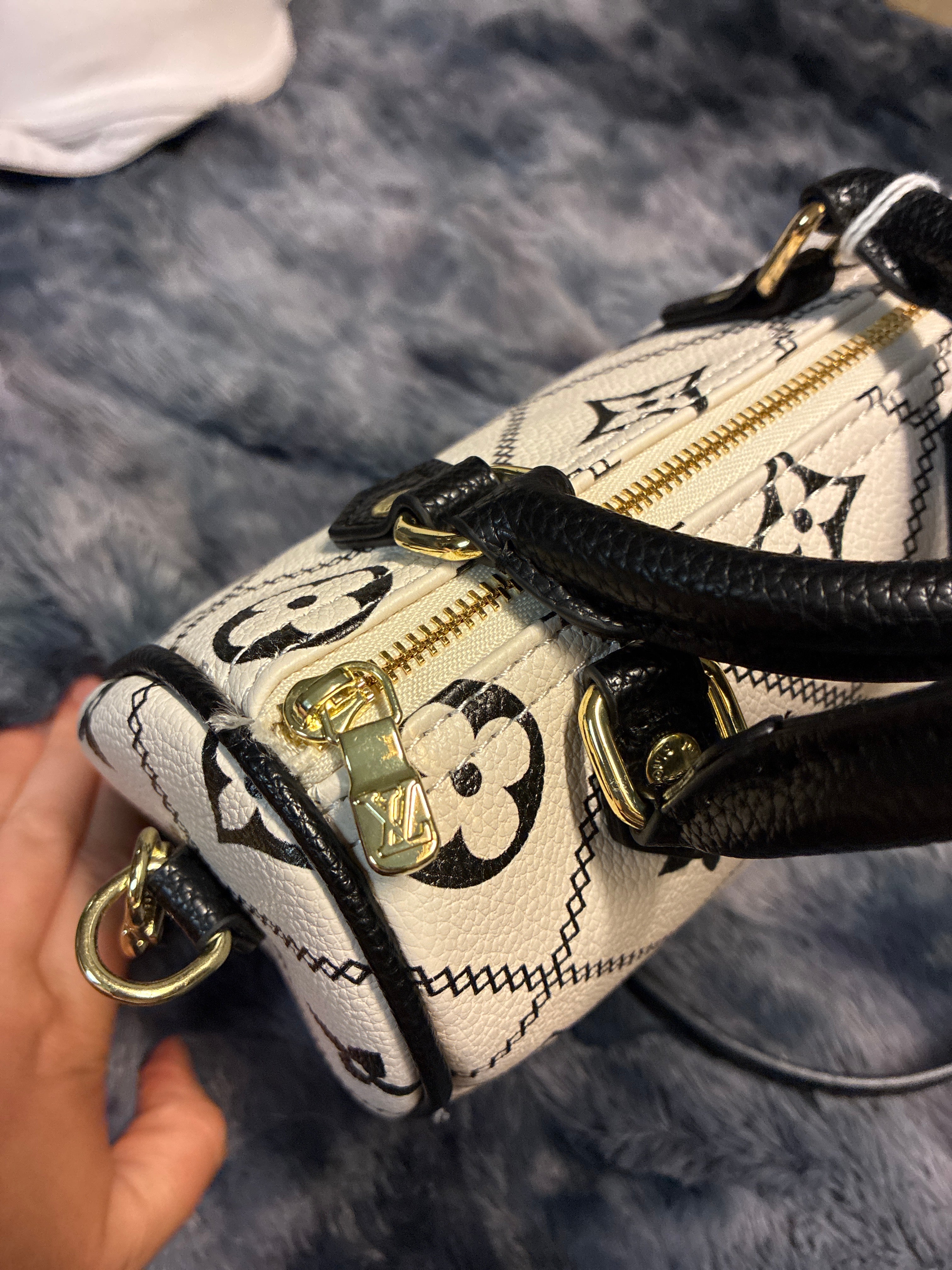 LV mini crossbody bag