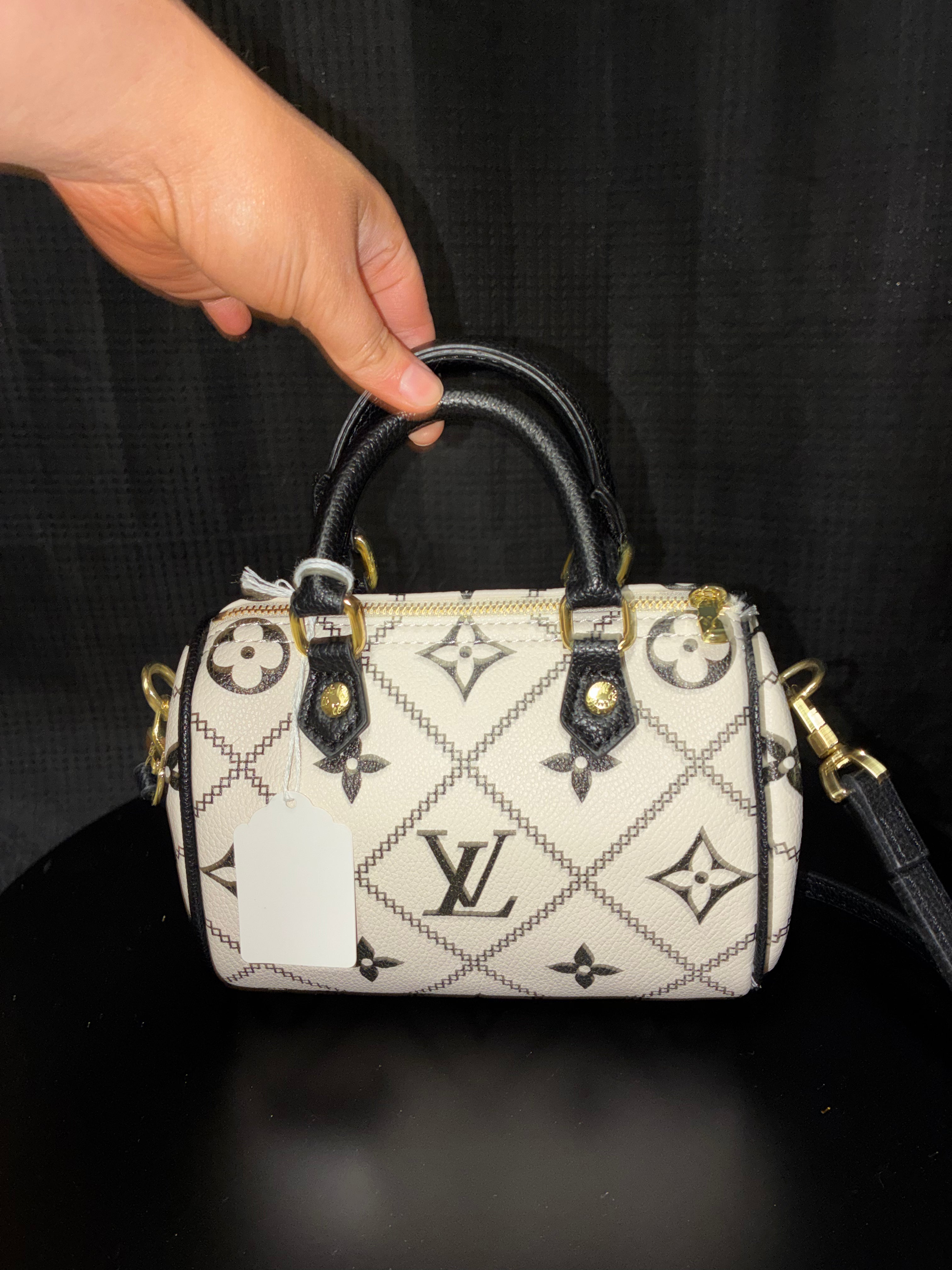 LV mini crossbody bag
